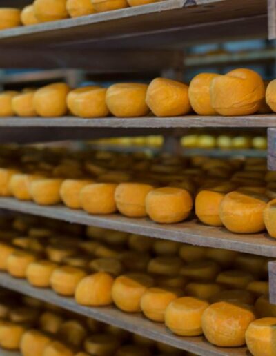 Fantoma Travel Fabrica de Queso